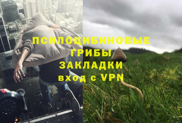 2c-b Куйбышев