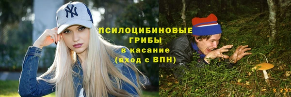 герыч Лагань