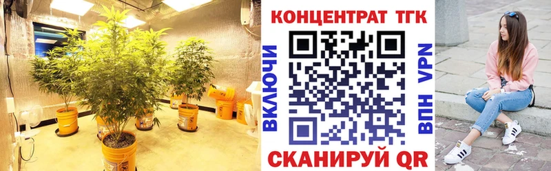 Дистиллят ТГК THC oil  Нея 
