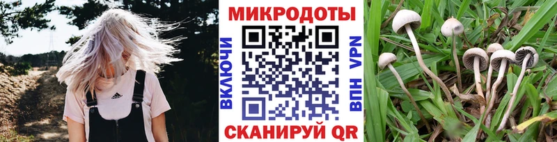 где можно купить наркотик  Нея  Псилоцибиновые грибы Magic Shrooms 
